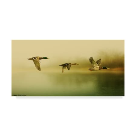 Trademark Fine Art Carlos Casamayor 'Ducks Flying' Canvas Art, 16x32 ALI40541-C1632GG